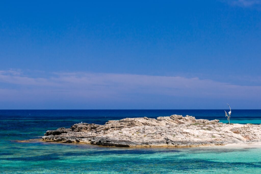 cala
