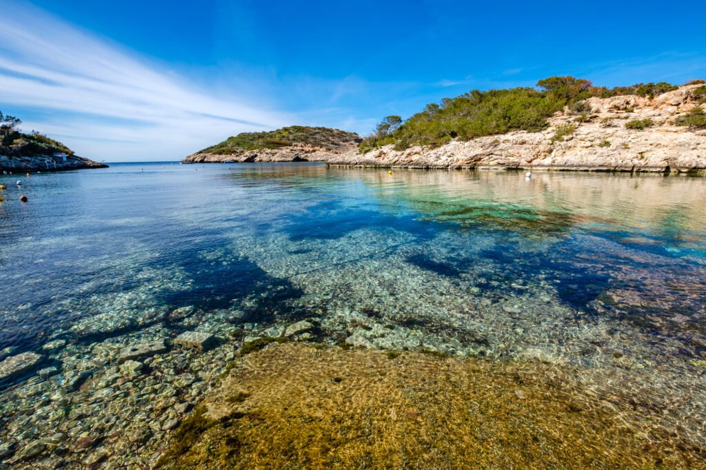 Cala Portinax 